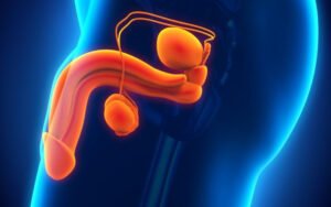 Peyronie hastalığı nedir ve tedavi yöntemleri hakkında bilgilendirici görsel